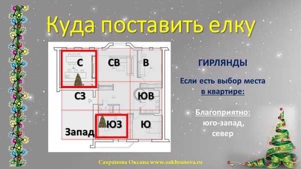 Какого числа ставить елку приметы. Елка в доме по фен шуй. Традиция наряжать елку. Когда ставить елку. Какого числа ставить елку приметы.