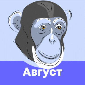 август