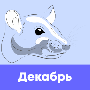 декабрь