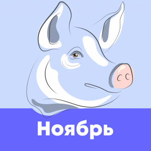 ноябрь