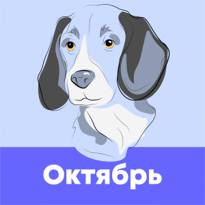 октябрь 2