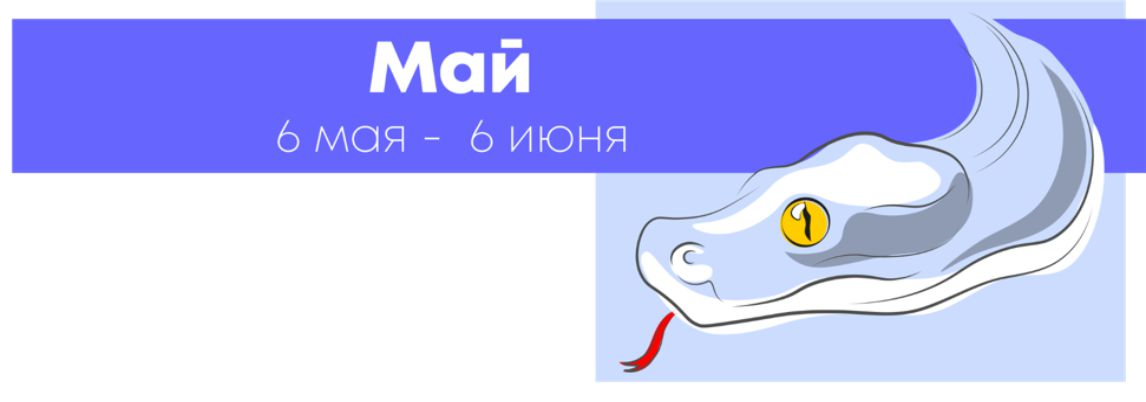 Май 2019