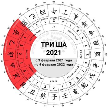 три ша 2021