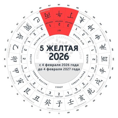 5_2026-min