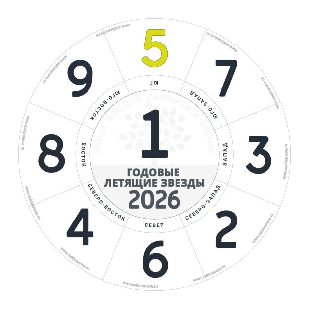 Летящие Звезды 2026